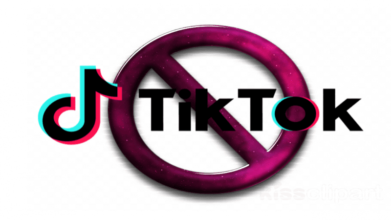 TikTok: il Garante privacy chiede una task force europea
